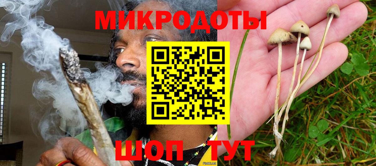 Бор  Галлюциногенные грибы мухоморы  Вход с VPN 