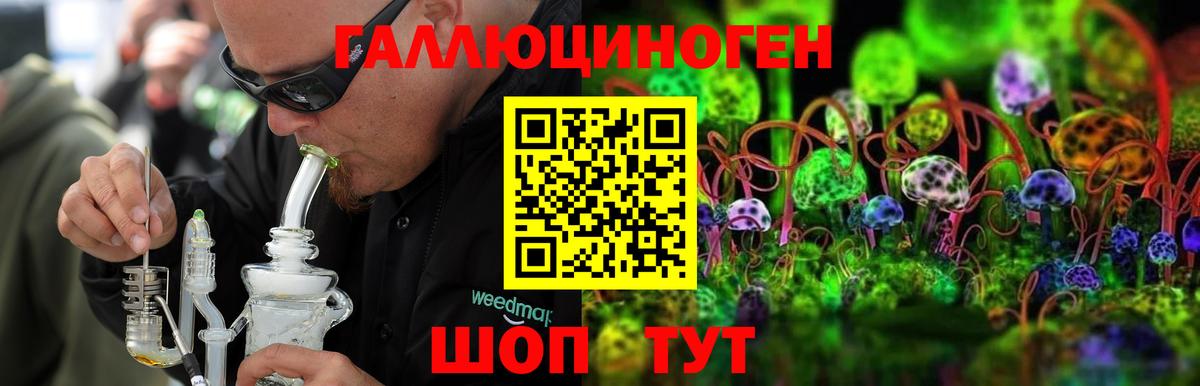 Галлюциногенные грибы Cubensis Бор